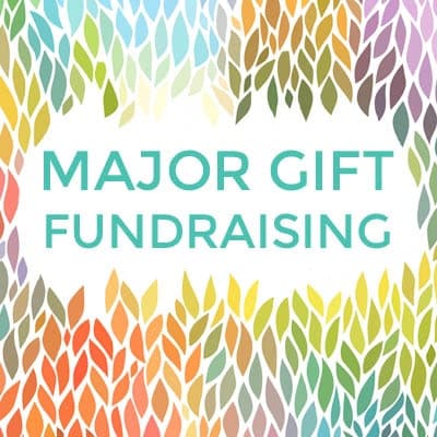 Critical Mistakes Meeting With Top Donors - Major Gifts