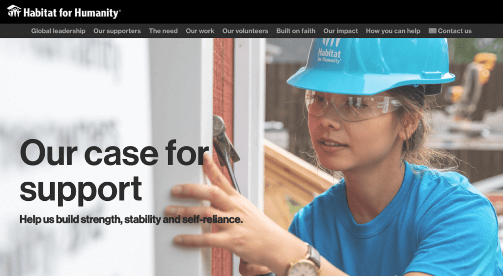 case for support
